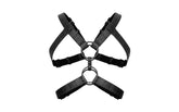 Bedroom Fantasies Rocco BDSM Play Harness Black Cuffs And Restraints